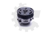 фото thumb №7, Насос усилителя 10skv309/skv