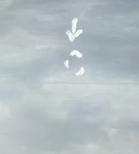 фото thumb №12, Porsche cayenne iii 3 9y0831312d 2018 двері праве передні перед