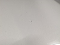 фото thumb №7, Капот + петли + шумоизоляция infiniti q50 v37 цвет qaa 2013-