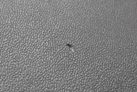 фото thumb №8, Бардачок пасажира eu 22846823 opel insignia a lift 13-20