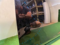 фото thumb №9, Range rover evoque ii l551 двері лівий перед передні ліві