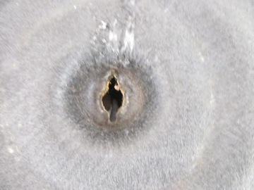 фото thumb №9, Підлога ніша багажника колеса bmw e46 універсал