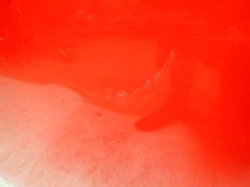 фото thumb №4, Двері праві задні праві зад ford focus mk3 iii hb 2011-