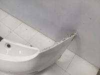 Audi q3 8u 11- бампер задня задній 4xpdc Зі Шроту, фото thumb