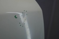 фото thumb №11, Nissan note e11 рестайлинг дверь правые перед 326g d1827