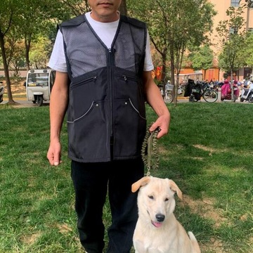 Жилет для тренировок Handler Training Dog Handler L, черный
