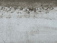 фото thumb №10, Бампер перед передний skoda scala 657 19-