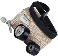 фото thumb №1, Ina 530 0638 10 набір ремінь розподільного валу