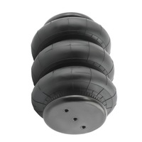 фото thumb №9, 2x сумка na підвіска пневматичний з potrójnym чохол 2600lbs