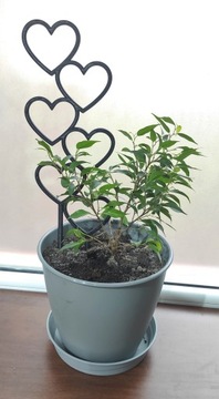 2x PODPÓRKA KWIATÓW ROŚLIN PERGOLA SERCA 37cm