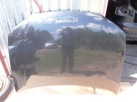 фото thumb №1, Капот малий решітка радіатора lz9w audi a3 8p 2.0 tdi 3d