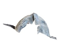 фото thumb №1, Підкрилок перед передні праве hb 3d peugeot 206 98-03