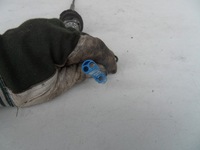 фото thumb №8, Opel antara lift 10-15 антена дахова основа антени