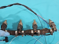 фото thumb №4, Электропроводка lpg газа optima nano