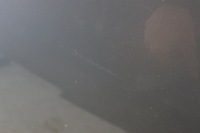 фото thumb №13, Капот кришка перед audi a6 c6