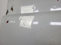 фото thumb №10, Двері задні праві зсувні berlingo partner rifter combo e 18-