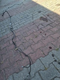 фото thumb №3, Шланг гальмівний задня nissan qashqai ii j11 1.3