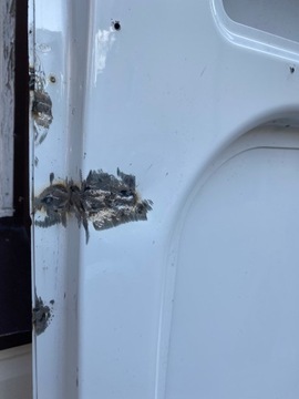 фото thumb №6, Ducato boxer jumper 06- двері задні ліві h2