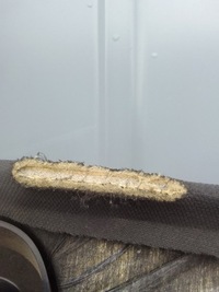 фото thumb №10, Dodge ram v 1500 19- стеля quad cab usa