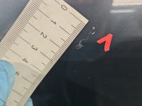 фото thumb №3, Дверь задняя левая opel meriva a лак z168