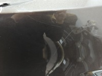 фото thumb №12, Toyota camry viii 8 бампер задний 52159-33390 pdc комплектный