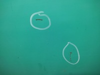 фото thumb №5, Fiat 126p двері лівий перед