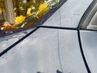 фото thumb №9, Skoda fabia iii 3 крыло левый передний цвет lf5a