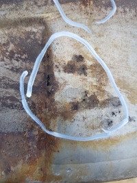 фото thumb №6, Гаситель катализатор scania r euro 4 1538681