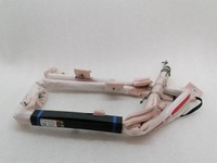 фото thumb №1, Tesla model s 90d left roof module 1005261-00d