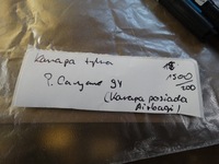 фото thumb №6, Заднє сидіння задня каркас porsche cayenne 9y 1