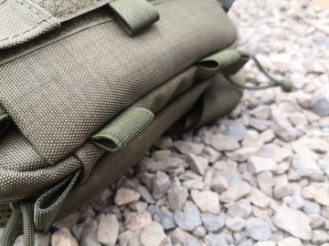 Двухкамерная поясная сумка Twiner EDC Baribal RG