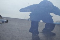 фото thumb №9, Opel meriva b дверь правый перед передние kpl