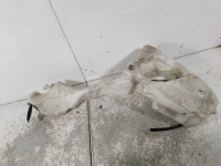 Бачок омывателя mini r55 r56 r58 7157121 Цена, фото thumb