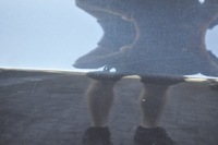 фото thumb №9, Orlando дверь левый перед левая передние europa