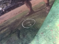 фото thumb №2, Opel insignia b дверь левая задние задняя