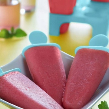 FOREMKI DO LODÓW domowe na patyku sorbet forma patyczki foremka na lody