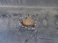 Audi a4 b8 8k накладка плита двигателя под двигатель 8f0863821 с Разборки, фото thumb