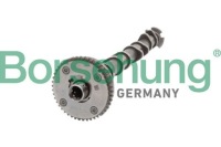 фото thumb №8, Распределительный вал 0ct iii, sup iii, audi, v borsehung
