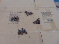 фото thumb №1, Шпилька шпильки колеса ford ka