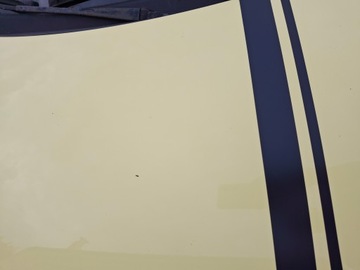 фото thumb №5, Volkswagen new beetle капот кришка двигуна ld1b
