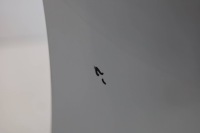 Бампер перед передний bmw g14 g15 g16 lci рестайлинг  m-pakiet Киев, фото thumb