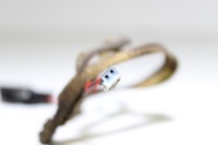 Bmw e46 датчик сумерек солнцезащитный 6901570 Недорого, фото thumb