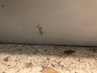 фото thumb №9, Двері праве правий задня задні a8 d4 ly9c