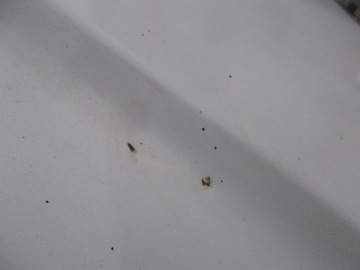 фото thumb №8, Mercedes sprinter 906 капот кришка двигуна