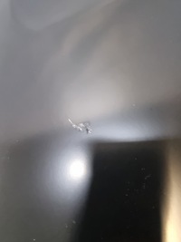 Крыло  левое  передний fiat ducato jumper 290 14- новый оригинал 52234192 Оригинал, фото thumb