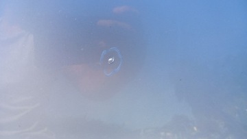 фото thumb №6, Mercedes cls w219 sedan капот c775