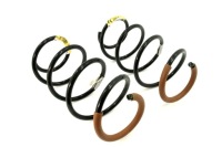 фото thumb №1, Пружина підвіска перед laguna iii 540100001r