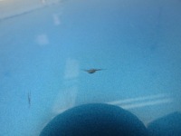 фото thumb №11, Leaf ii ze1 21r заглушка кришка кришка роз'єм порт заряджання