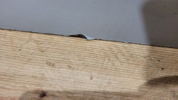 фото thumb №6, Дверь правый перед opel vectra c 02-05 signum z157 серебряный