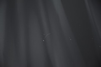 фото thumb №7, Капот крышка двигателя jaguar xf x250